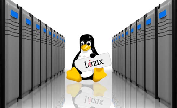Linux Web Hosting - Ancoax Technologies